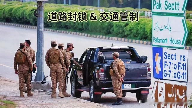 雨中绽放的玫瑰：全城红色封锁！4月11日