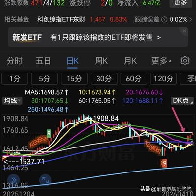 消遣养基乐悠悠：科创综指科创芯片，存储芯
