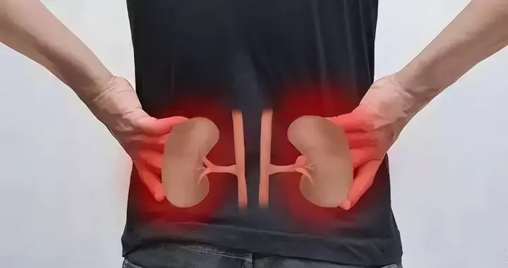 肾虚非小事，养护在平日