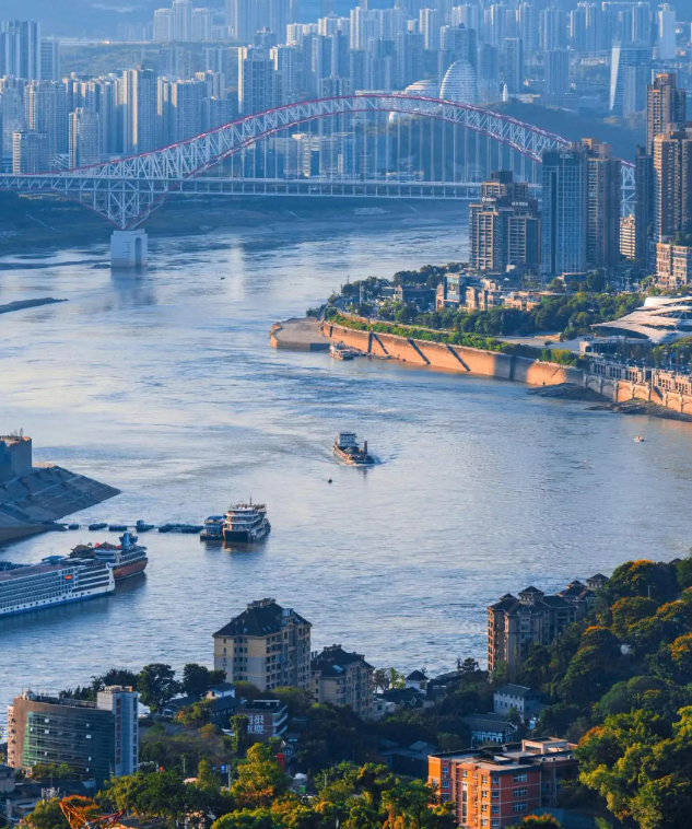 我国城区常住人口数量排名前五的城市，深圳上榜，重庆位居第四