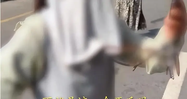 博主免费送10吨西瓜，大姐嫌态度不好，怼博主脸拍，博主情绪崩溃