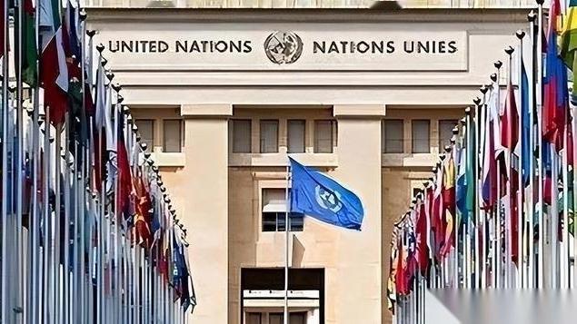 妮娅历史：中国向联合国交完2025年会费