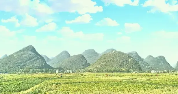 老一辈农民，那可是国家的脊梁