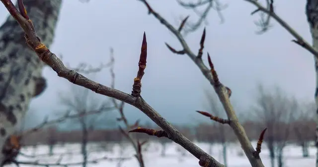 这不是迷信！明日二月初五，最应该知道的6件事，告诉家人要知道