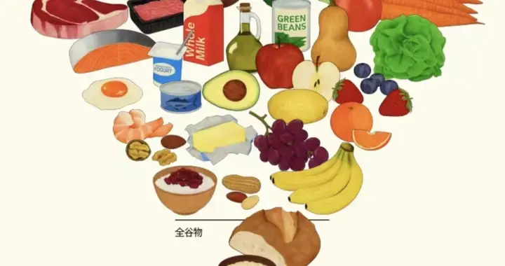 《美国人膳食指南(2025-2030)》全文阅读