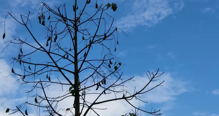 发现一个很可怕的数据：约7.8亿中国人，靠背债生活着。