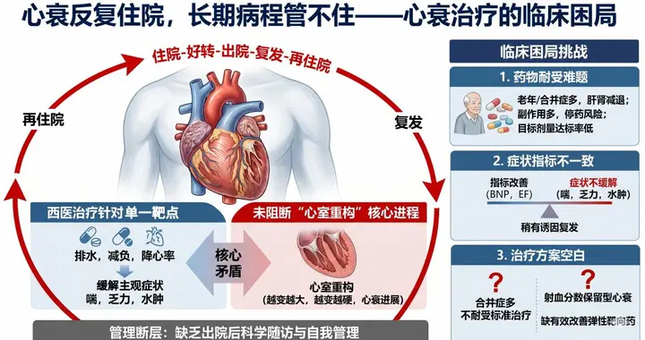 河北以岭医院心血管病科标本兼治 构建心衰全病程规范化管理体系