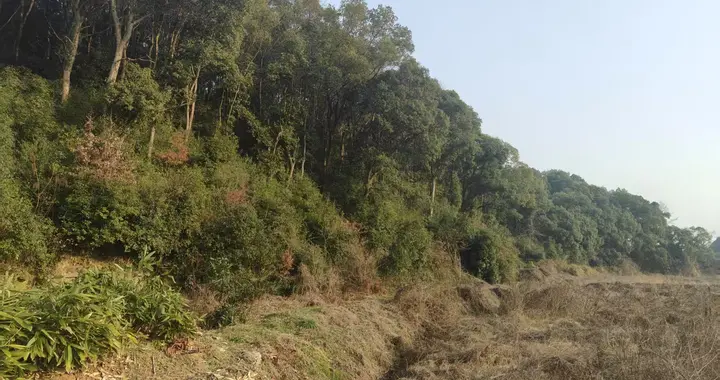 贸然向警戒阵地发动进攻，被打残