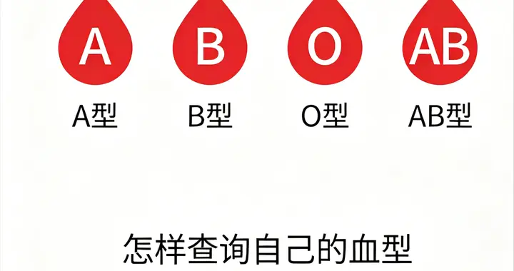 个人血型查询最全方法攻略