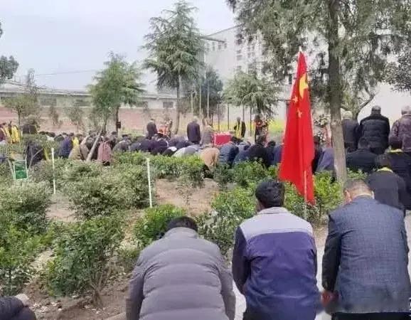 柏树园：我童年的乐园，是个神秘的地方，令人到中年的我无限向往