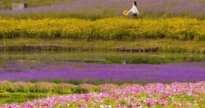 独一无二的“文旅科技型景区”，能劈开新赛道吗？