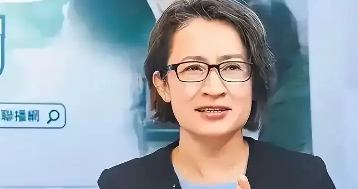 被定性为“台独顽固分子”，萧美琴还委屈上了，向大陆喊话