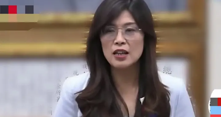 郑丽文：“台独”从无国际支持，这是铁一般的事实