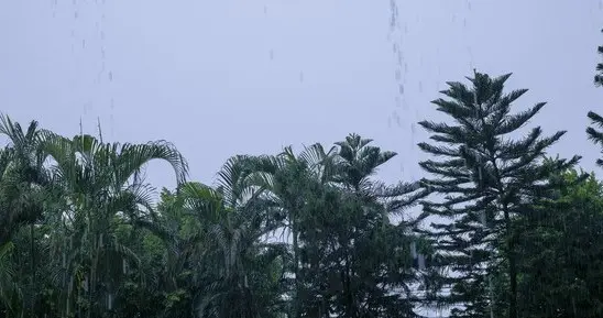 吉林国庆前先落一阵雨！30日局部中雨，1号起全省放晴