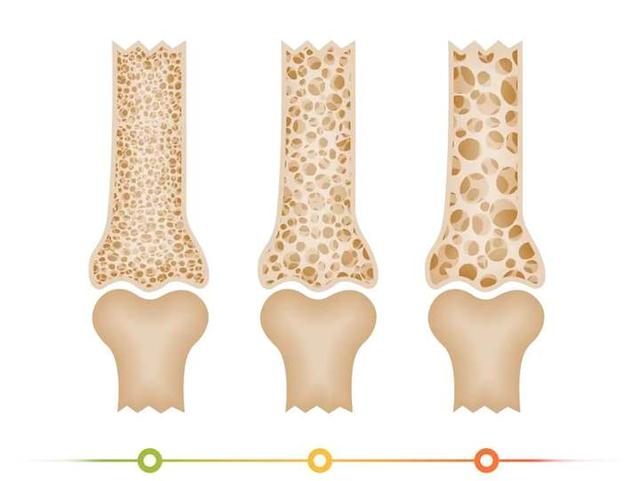 每天只需10分钟，你的骨头、肌肉和筋膜就能偷偷逆袭！
