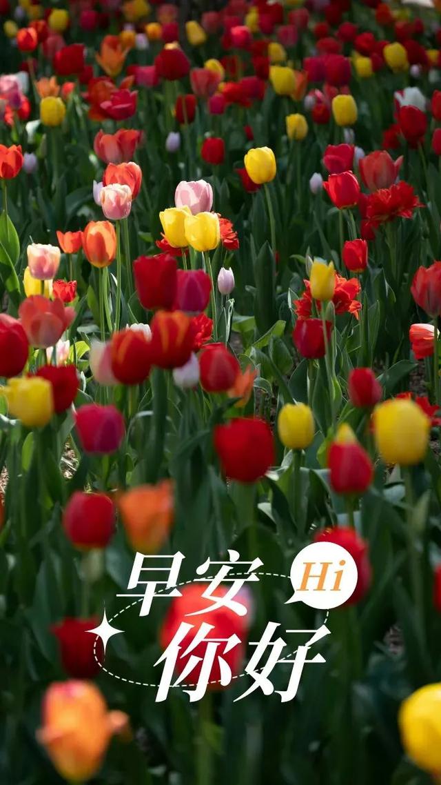 三月流焱，心态的力量，愿力