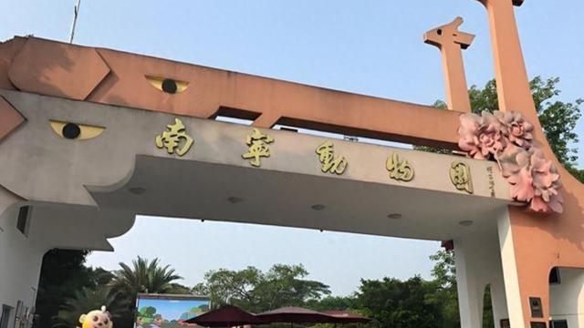 小羊七号：看不懂南宁的这一操作， 为何动