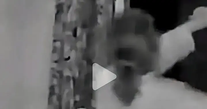 妻子开窗通风丈夫误以为要跳楼