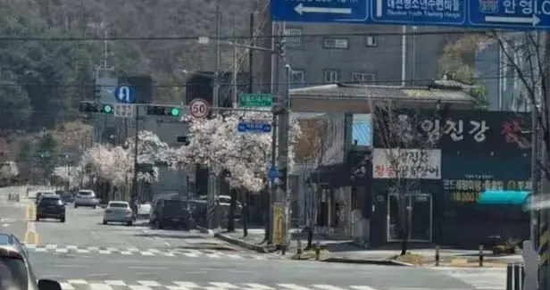 AI 说，狼来了