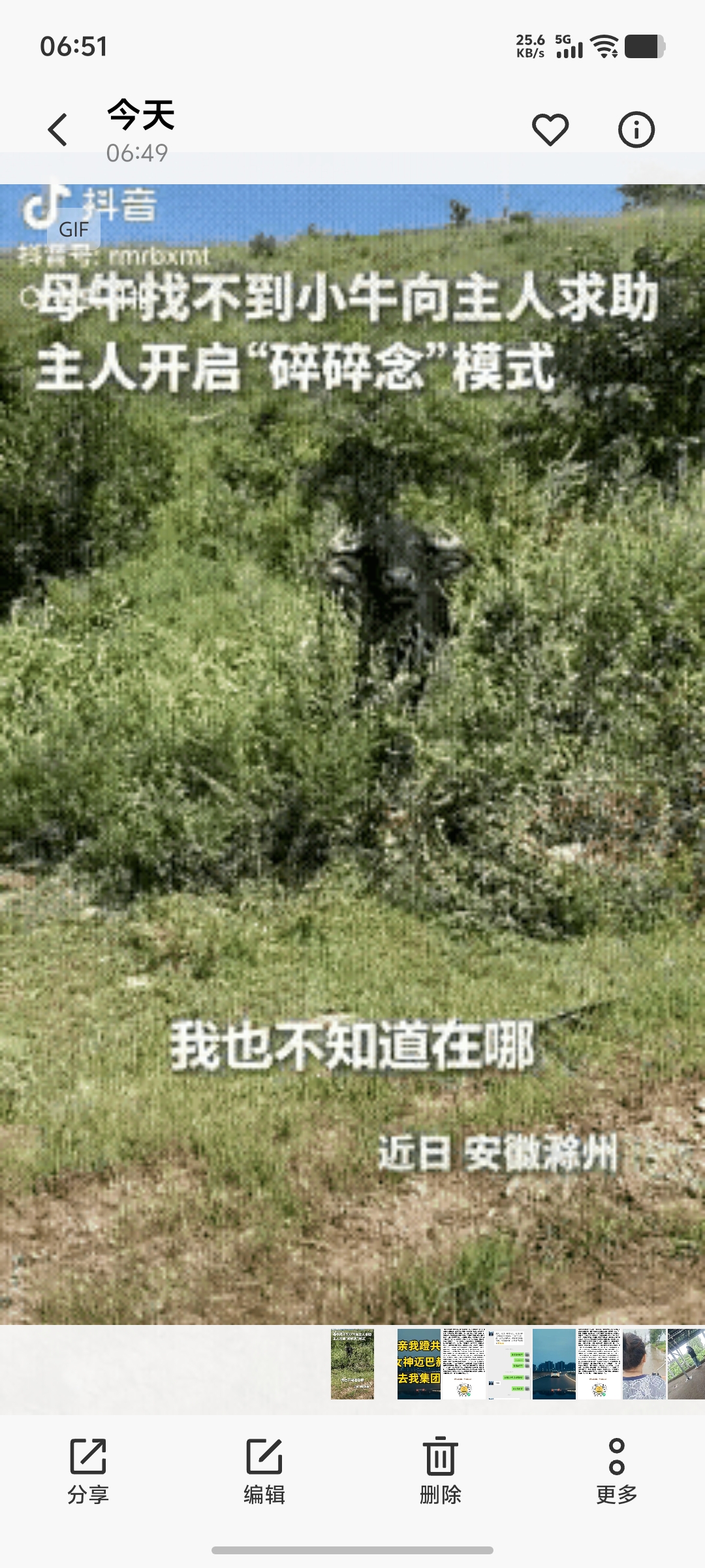 被人民日报转发的那场“寻牛父子局”  安徽滁州的山坡上，最近出了件不大...