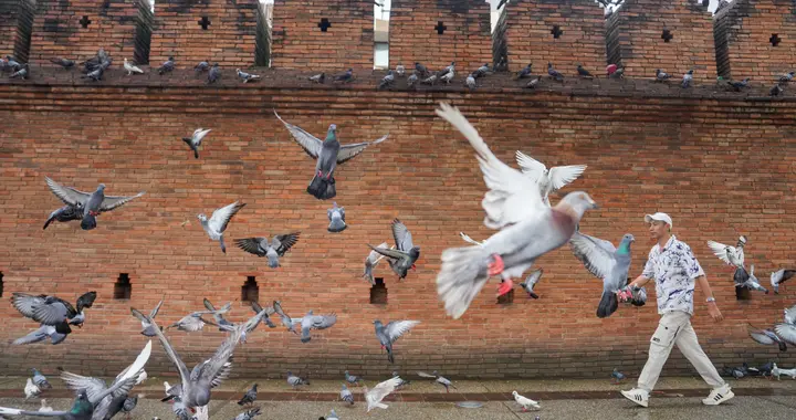 清迈住进当地人家，不用赶景点、不拼行程，把生活过得慢一点