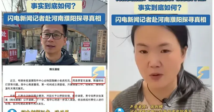 网红小老虎暖暖离世官方通报后，饲养员还原真相，否认录播骗打赏