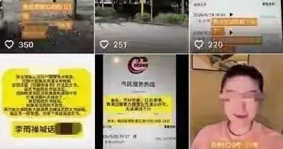 恶意煽动网暴扰乱民生，网红李雨禅无底线蹭流量被警方行政拘留