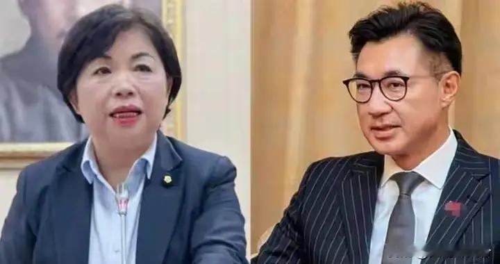 蓝营姐弟之争迎终局！江启臣杨琼璎同天正面刚，何欣纯反被边缘化