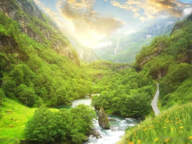 十三个方面林草制度