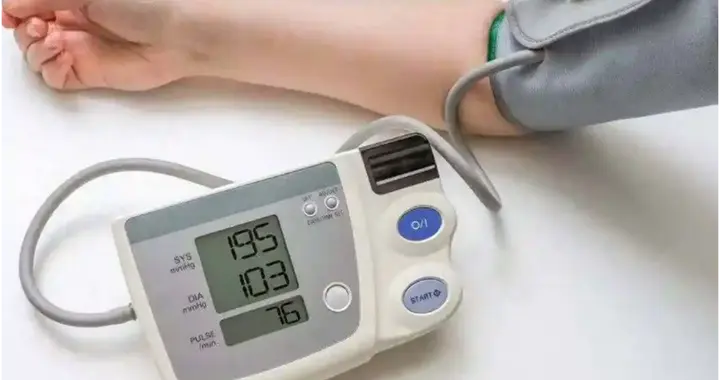 高血压的“新克星”：靶向肠道菌群的移植疗法