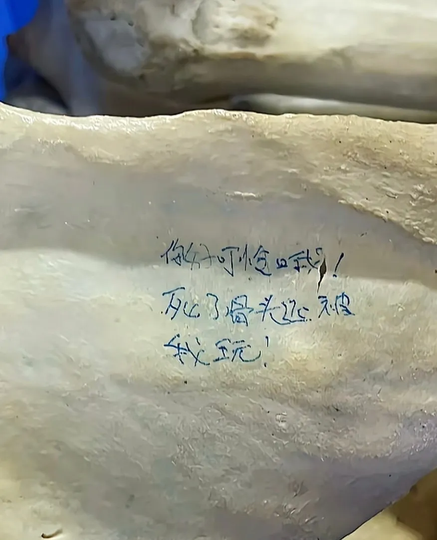 医学生在大体老师骨骼上写轻浮文字这已经不是素质跟教养的问题了，这是坏到...
