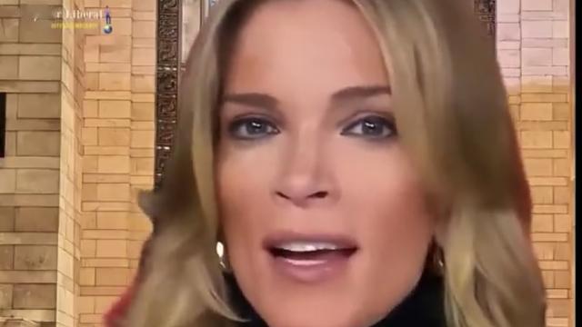 阿飞不是流氓：美国知名主持人梅根·凯利M