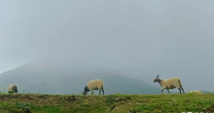 驻村干部怎么派、怎么管？乡村振兴长效帮扶的关键一步