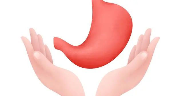 提升脾胃功能，长期服用不伤肝肾功能的3个经典中成药，一文总结