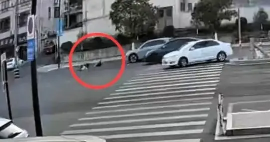 宁海惊魂一幕：女子带娃过马路被撞飞！