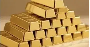 不论任何风口，能赚钱的都是先知先觉的布局者