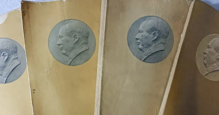 读懂《毛泽东选集》的人有多通透？