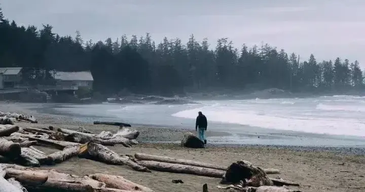 钱和面子：成年人的生活里，藏着最实在的权衡
