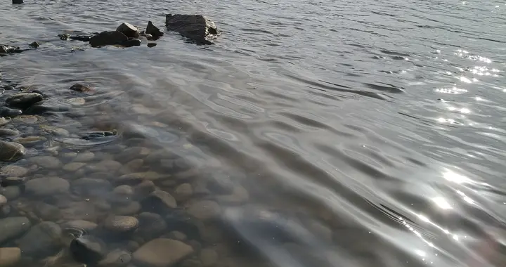 月薪5000每月硬存2000，朋友说我抠，我却越活越踏实