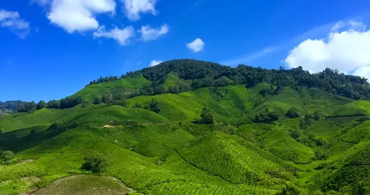 重申中国农业特性，及数字农业如何匹配这些特性