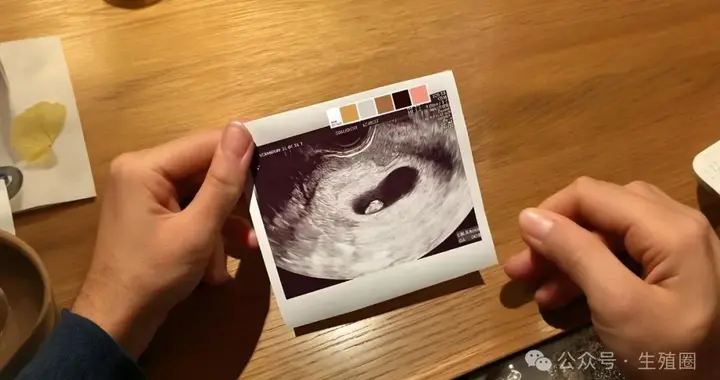 直击移植失败根源！院士团队重磅解码母胎对话，移植不需再碰运气