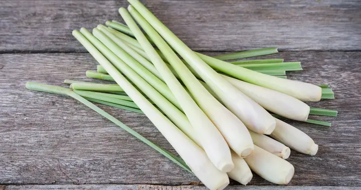 茭白出名了？医生发现：茭白可在24小时清除71%炎症因子？