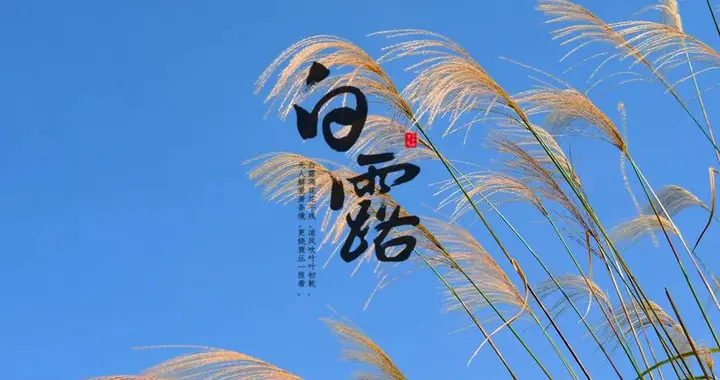 “白露养肺，秋冬不累”，建议常喝5道汤，润肺去燥，益气解秋乏