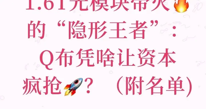 1.6T光模块带火的“隐形王者”：Q布凭啥让资本疯抢？（附名单)