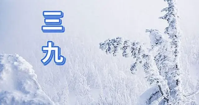 三九进补有讲究！牢记“4不吃”，全家安稳过冬不生病