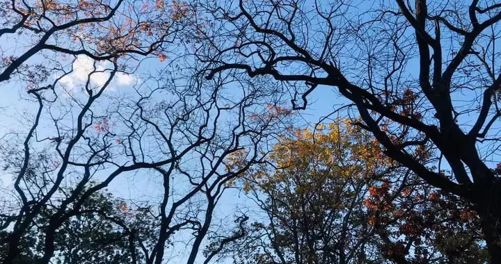 凡众人仰望之，皆升天成神；凡大家唾弃者，俱落地为鬼。