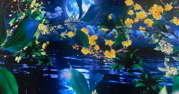 《以自爱之名，赴一场人生顶级浪漫之约》