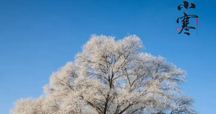 瓦盆梅发小寒时——咏小寒古诗词赏析（三）