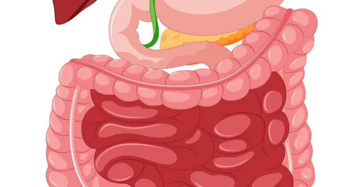 脾胃调和百病消：日常抚脾四术