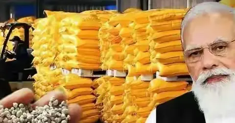 这就是大国担当——事关人道主义及粮食危机